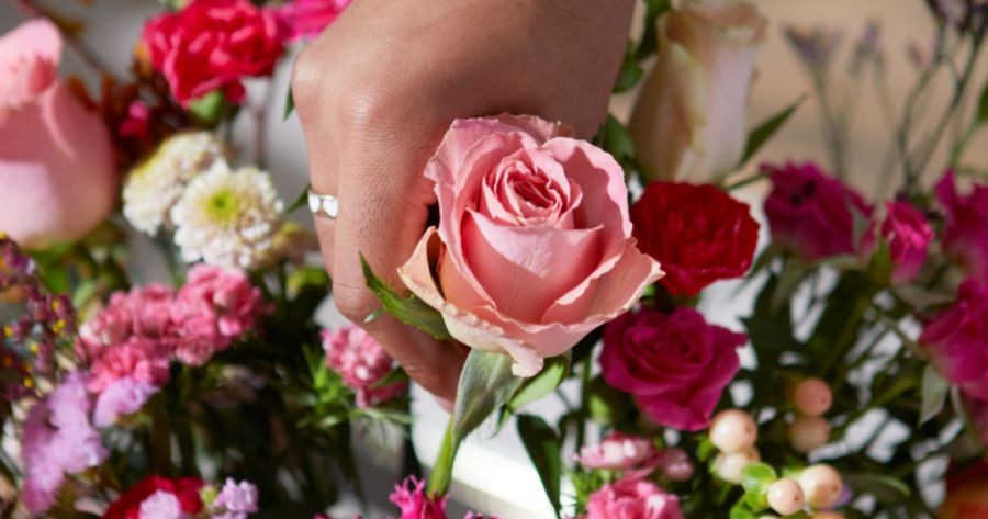 What''s Your Flower Aura?
