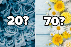 Choose A Flower In Every Color And We''ll Tell You Your Mental Age
