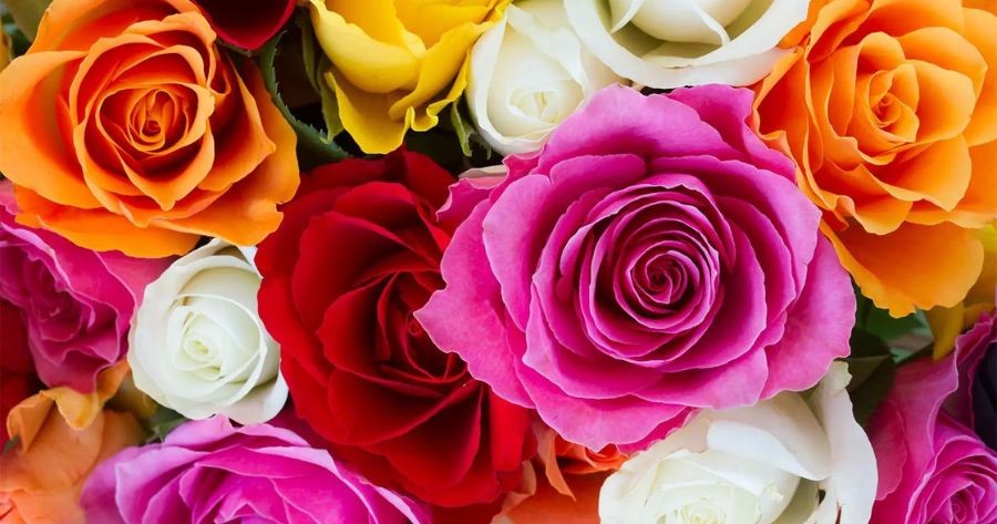 What Kind Of Bouquet Are You? A Flower Personality Quiz
