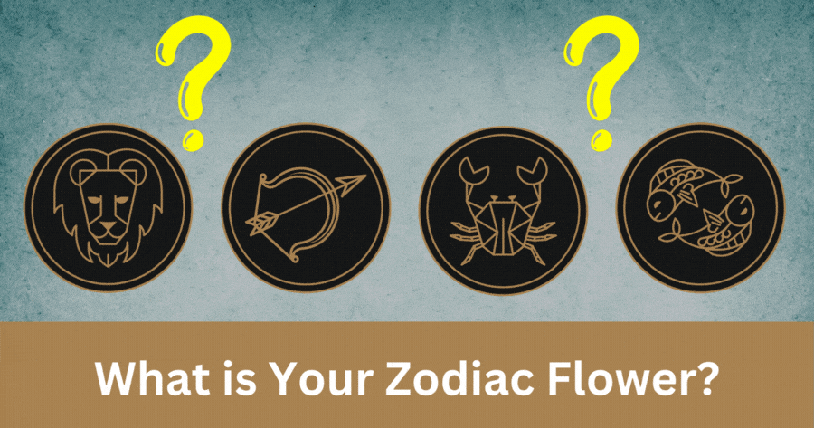 Which Flower Best Matches Your Zodiac Sign?