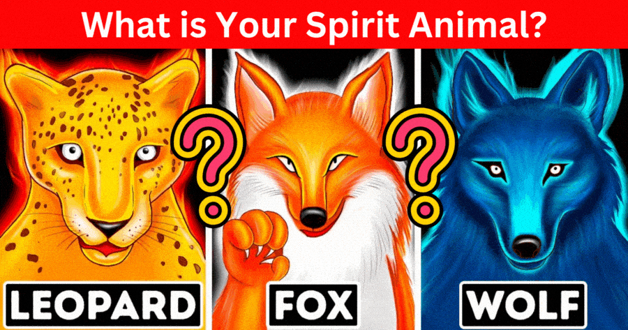 What Is My Spirit Animal?